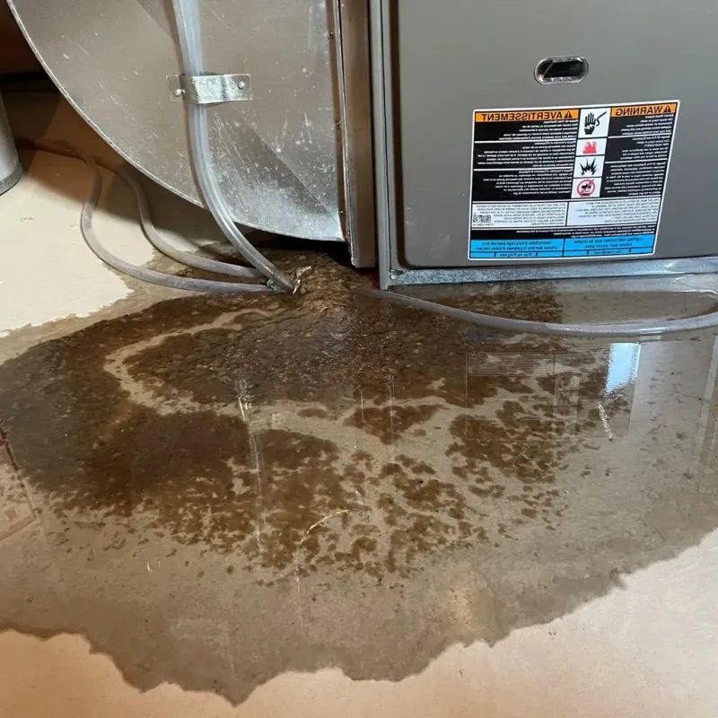Pipe Burst and Leak Restoration in Sneedville, TN